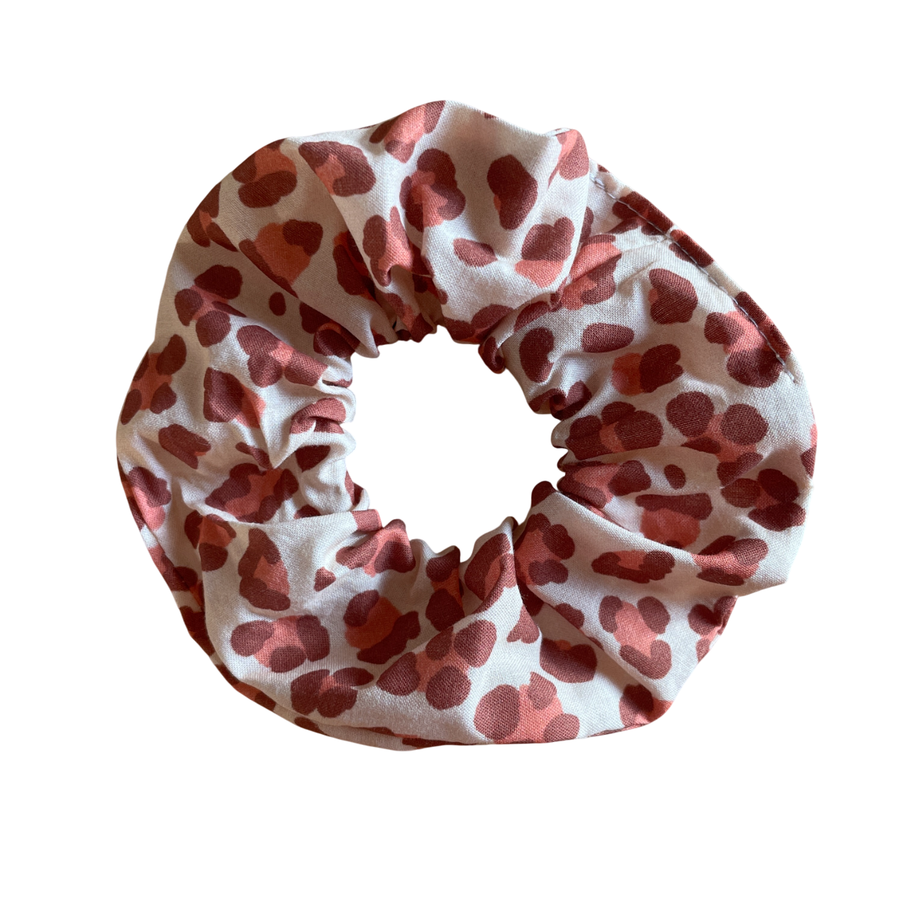 LÉO, le chouchou (léo choco)